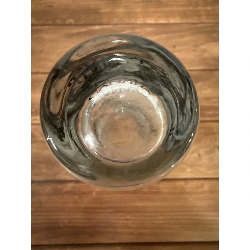 Vintage Canada Goose Glass Tumbler Canadian Geese 4 Inch